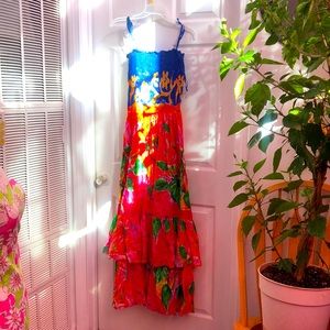 Goregeous Ralph Lauren Dress size Large